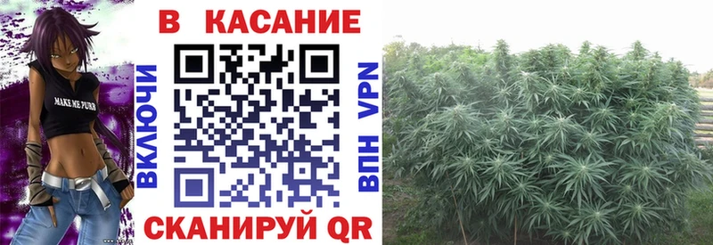 Где можно купить наркотики Лесосибирск Каннабис  Мефедрон  Alpha PVP  Героин  АМФ  COCAIN  Гашиш 