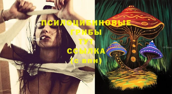 spice Алзамай