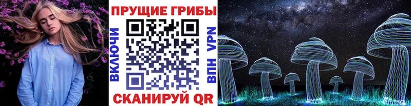 mega как войти  Лесосибирск  Галлюциногенные грибы GOLDEN TEACHER 